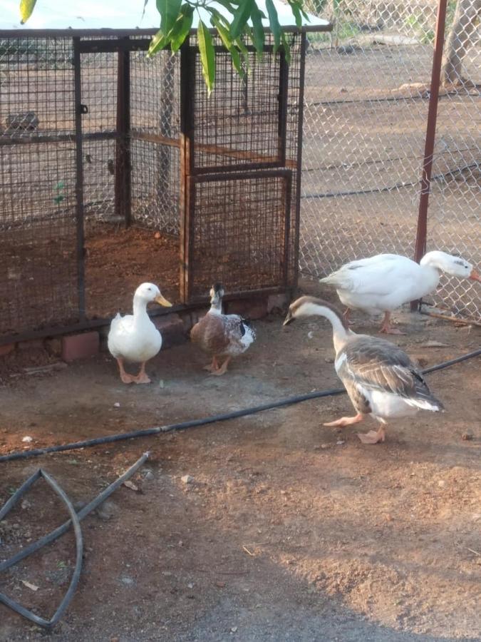 BimalFarm at Koroli Hills Villa Igatpuri Dış mekan fotoğraf
