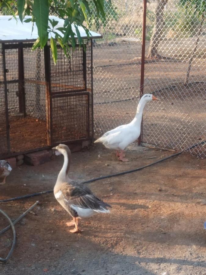 BimalFarm at Koroli Hills Villa Igatpuri Dış mekan fotoğraf